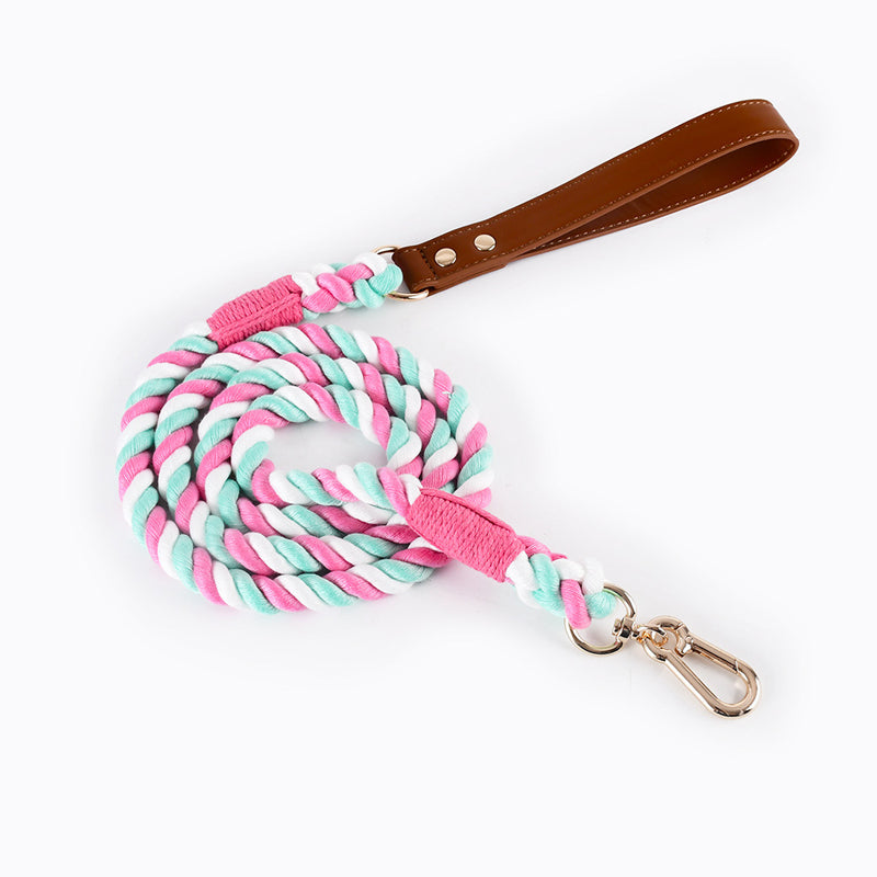 Durable No-Tangle Braided Dog Leash