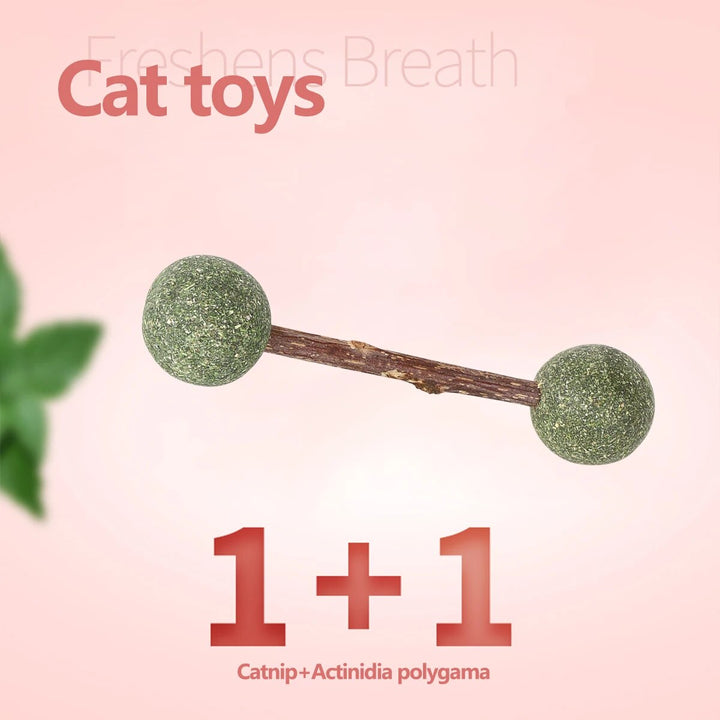 Catnip Dumbbell Toy for Cats – Wooden Nibbling Pet Toy