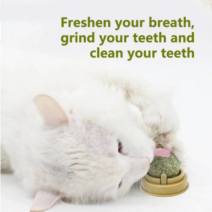 Catnip Toy Balls - Interactive Licking Snack with Molar Teeth Benefits for Cats