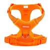 color: Orange