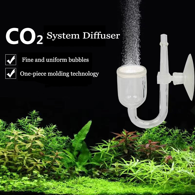 CO2 Diffuser System for Aquariums