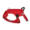 color: Red