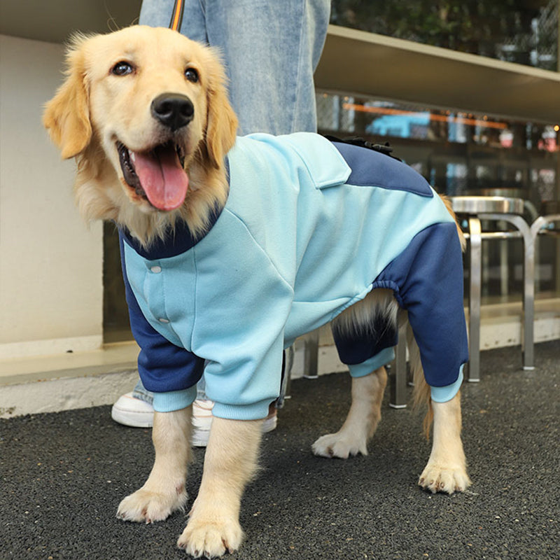 Sporty Big Dog Jacket