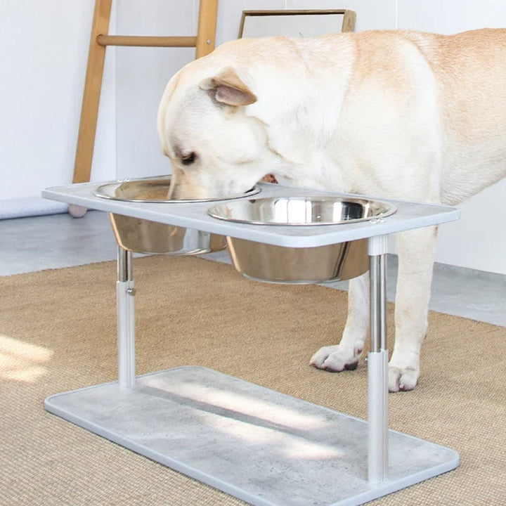 Adjustable Elevated Dog Feeders