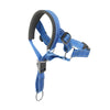 color: Blue
