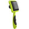 color: Green