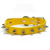 color: Yellow