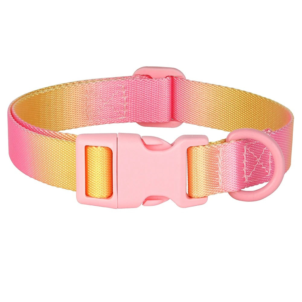 Colorful Print Nylon Dog Collar