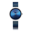Color: Silver Case Blue Face
