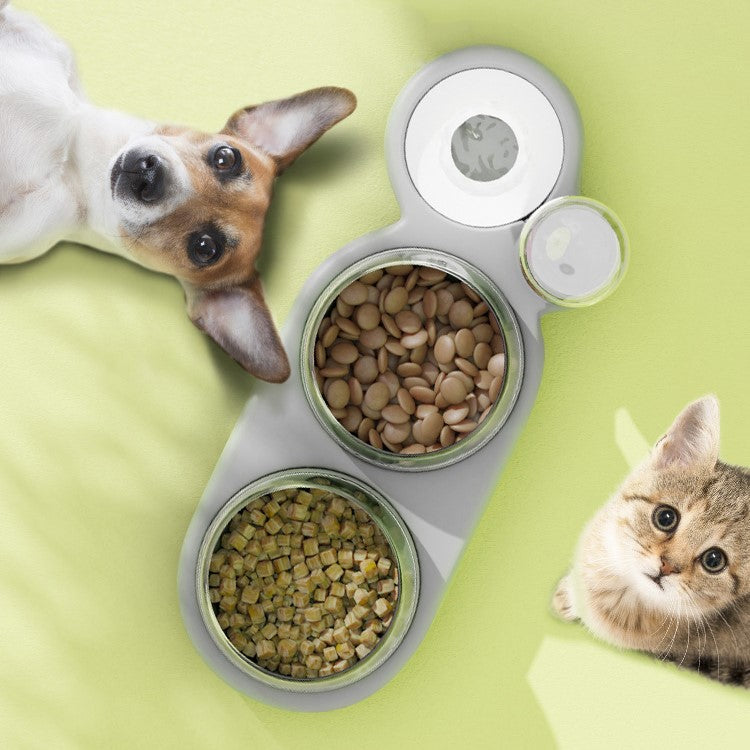 Automatic Pet Feeder with Tilted Double Bowls and Water Fountain