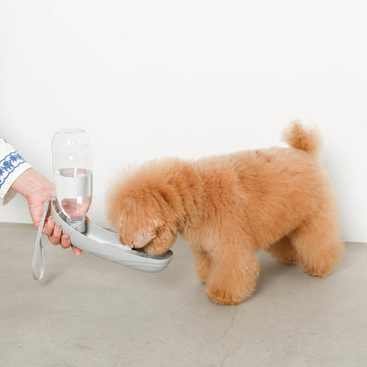 Portable Dog Water Bottle