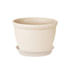 color: Beige