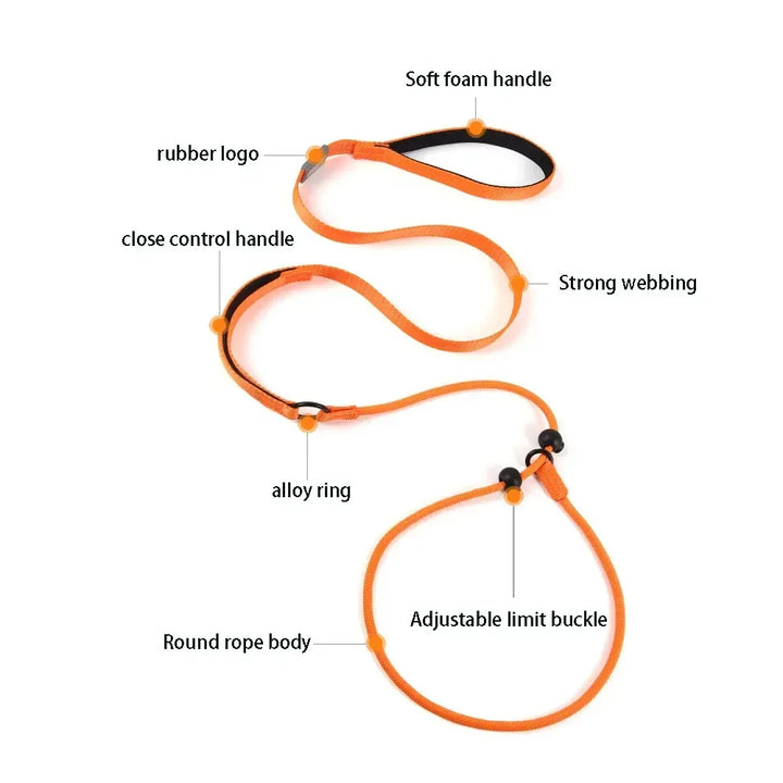 Adjustable Slip Lead Dog Leash