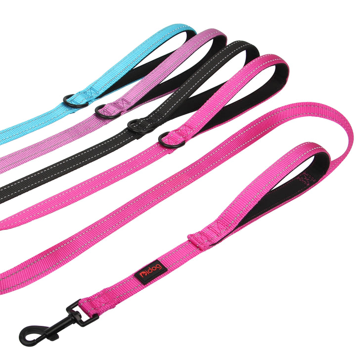 5ft Double Handle Nylon Dog Leash