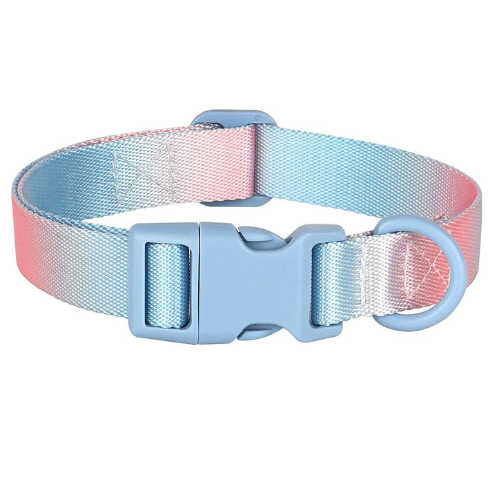 Colorful Print Nylon Dog Collar