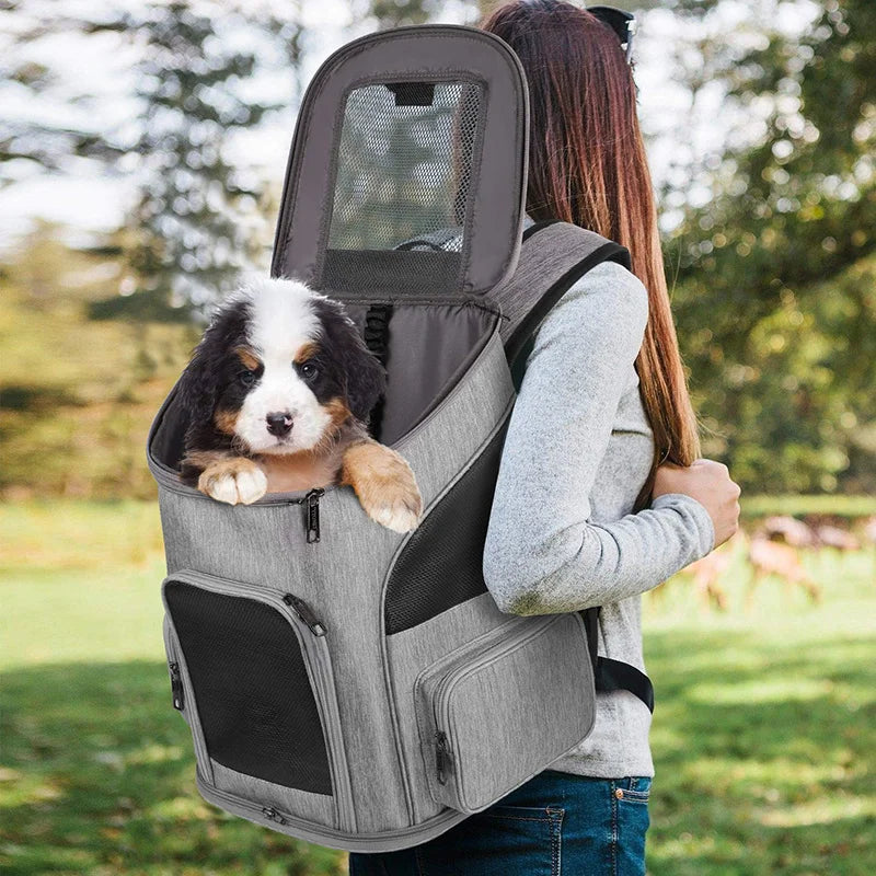 Premium Breathable Small Dog and Cat Backpack