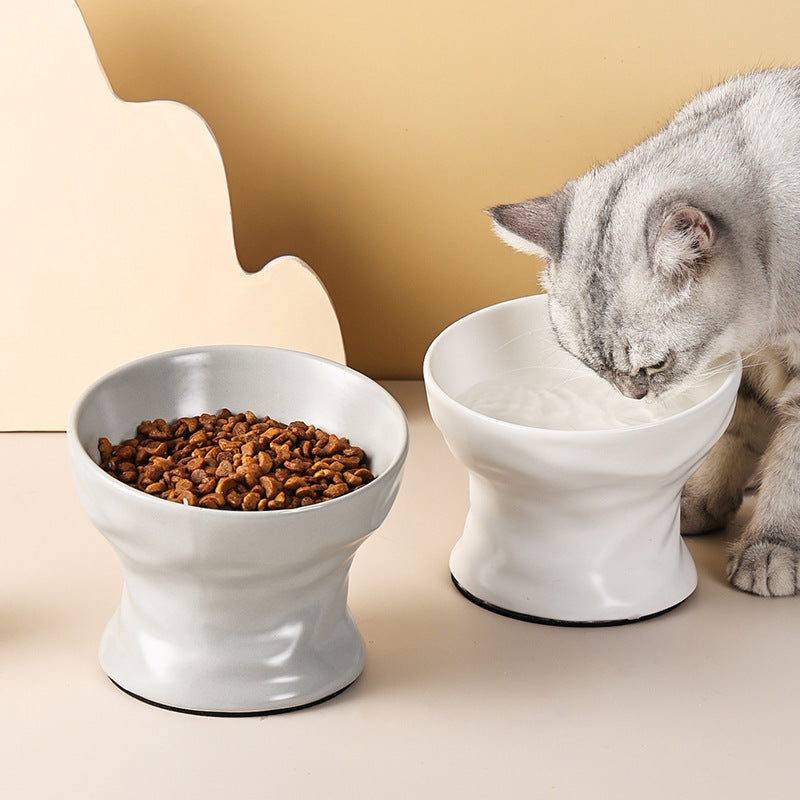 Elevated Ceramic Cat & Small Dog Bowl