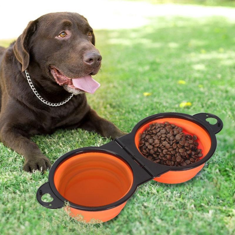 2-in-1 Portable Collapsible Dog Bowl