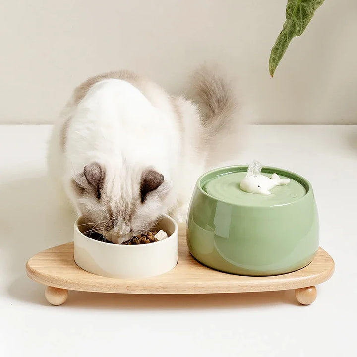 Ceramic Cat Water Fountain