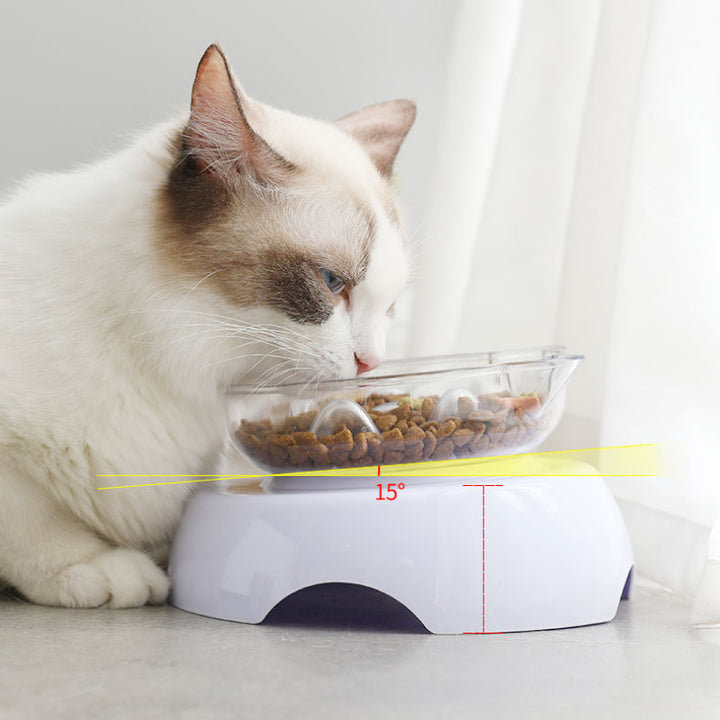 15° Tilt Pet Bowl with Non-Slip Stand