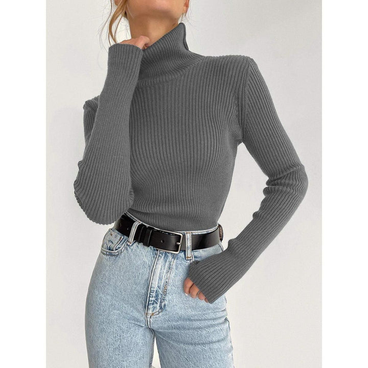 Autumn Winter Thick Turtleneck Sweater for Women