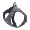 color: Gray