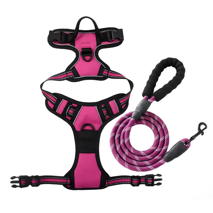 Reflective Adjustable Dog Harness and Leash Set