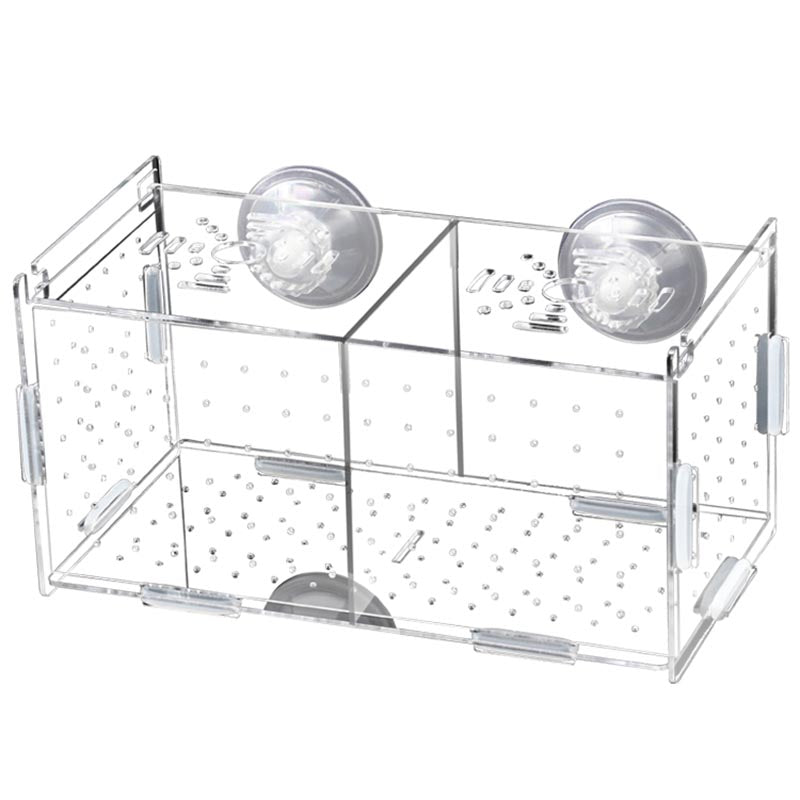 Acrylic Guppy Breeding Box