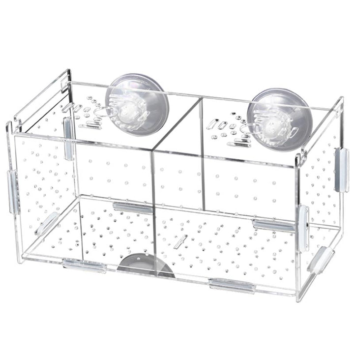 Acrylic Guppy Breeding Box