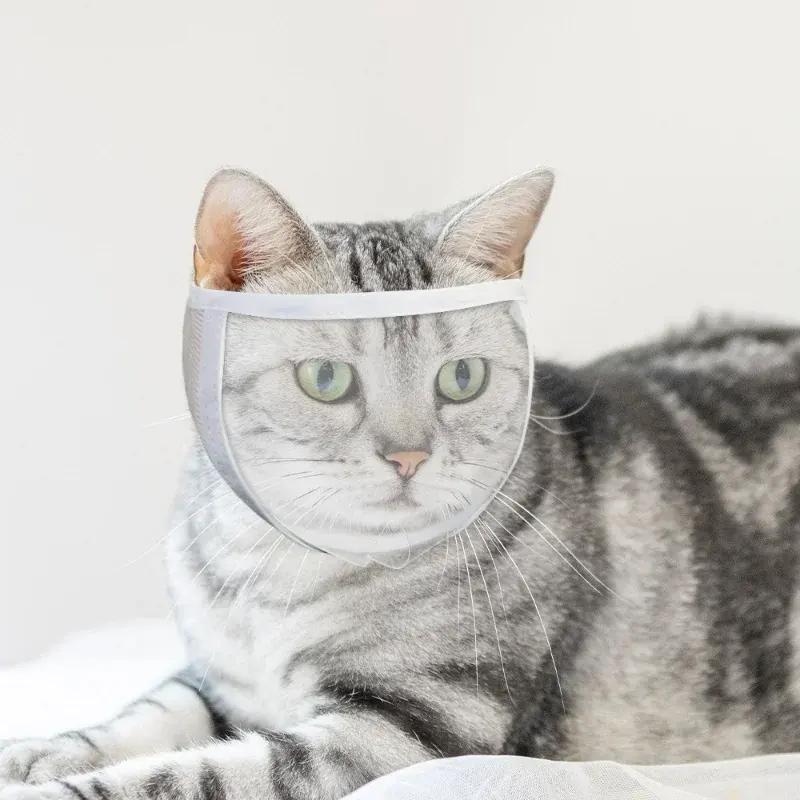 Transparent Cat Muzzle