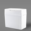 color: White