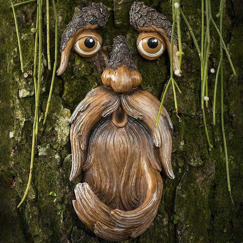 Old Man Tree Face Hugger