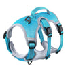 color: Blue