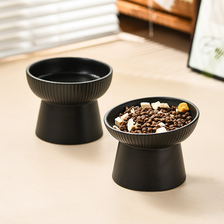 15° Tilted Elevated Cat and Small Dog Bowls