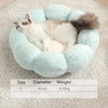 color: Pale Blue