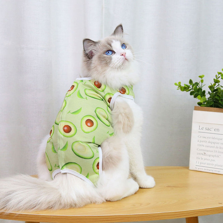 Anti-Licking Pet Surgery Suit