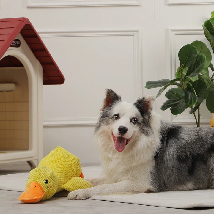 Interactive Duck Dog Toy with Squeaker