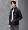 Color: Black stand up collar