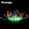 color: Orange and Green