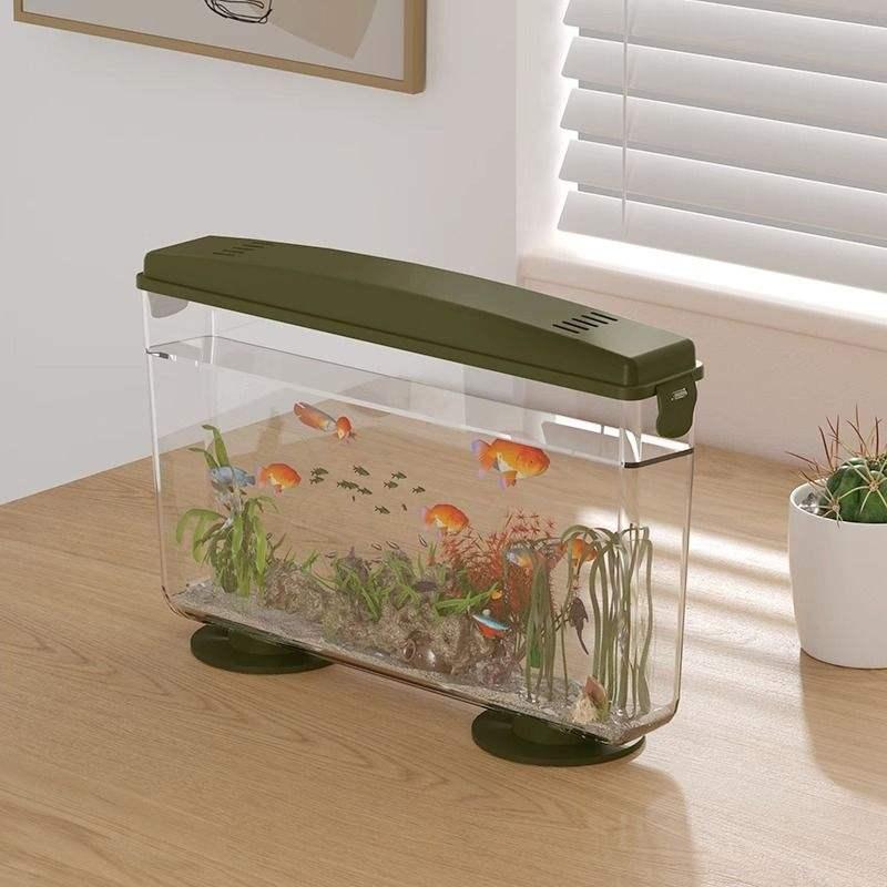 Simple Ecological Desktop Fish Tank