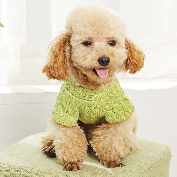 Cozy Knitted Dog Sweater – Warm, Floral, & Cute for Small to Medium Dogs & Cats