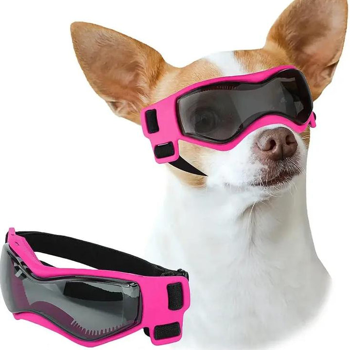 Small Dog Sunglasses