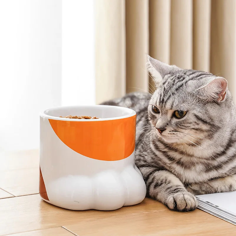 Elevated Ceramic Pet Bowl