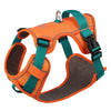 color: Orange