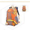 Color: Orange