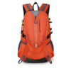 Color: Orange
