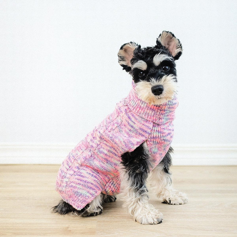 Pet Clothes Simple Dyed Purple Turtleneck Sweater - Trendha