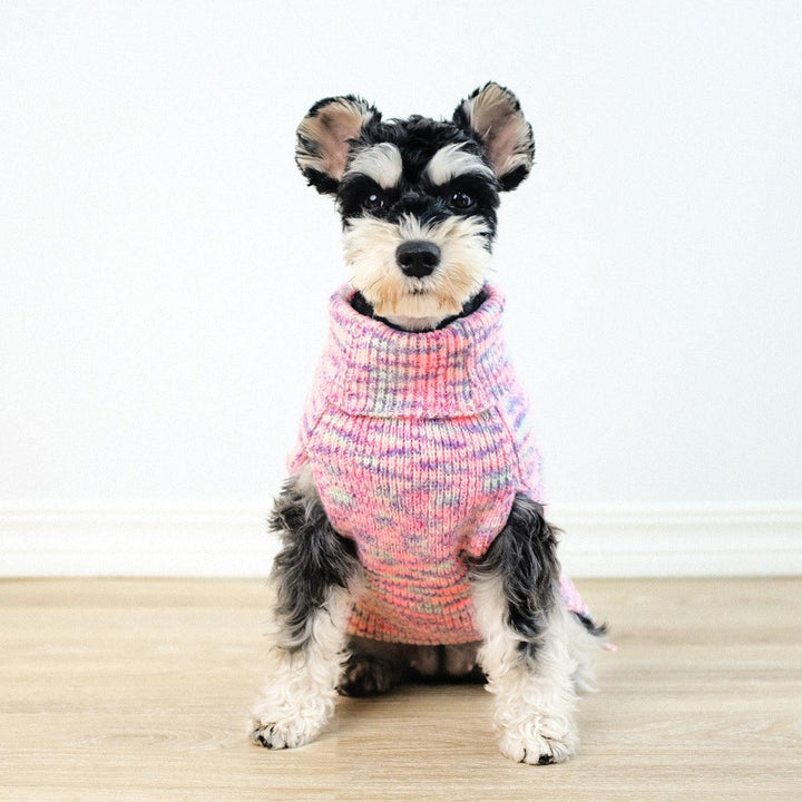 Pet Clothes Simple Dyed Purple Turtleneck Sweater - Trendha
