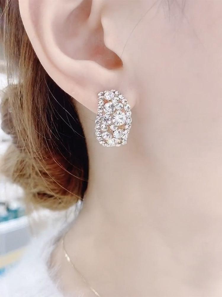 Women's Luxury Sterling Silver Needle Earrings Full Of Diamonds - Trendha