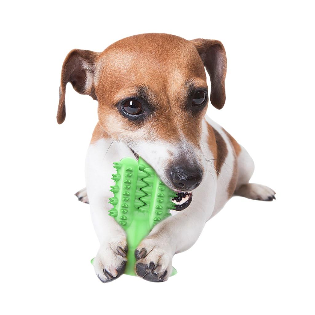 Cactus Dog Toothbrush - Trendha